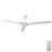 Radical DC Ceiling Fan with Remote – White 60″ by Hunter Pacific